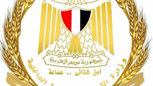 اخبار مصر