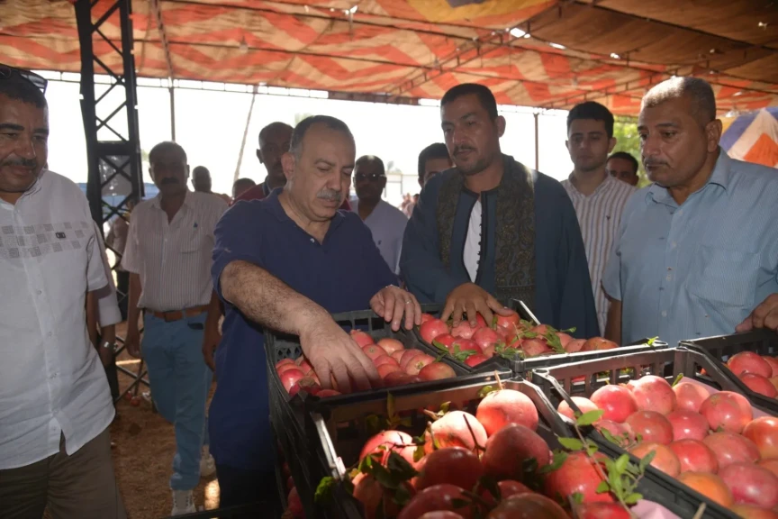 محافظ أسيوط يتفقد مواقع تجهيز وتصدير ”الذهب الأحمر” بقرية بويط بساحل سليم ويعلن دعم كامل للمزارعين والمصدرين