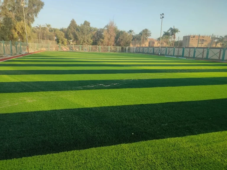محافظ أسيوط: الانتهاء من تطوير الملعب القانوني بمركز شباب دير الجبراوي بأبنوب
