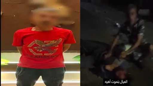 امن مصر