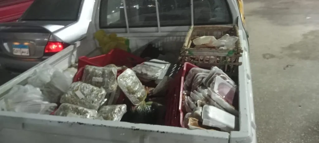 محافظ أسيوط: ضبط أكثر من 3 أطنان لحوم ومنتجات حيوانية غير صالحة خلال 16 حملة على مدار شهر أغسطس