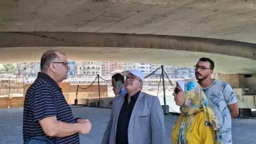 اخبار مصر
