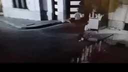 امن مصر