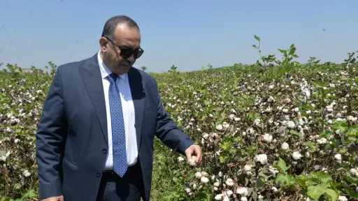 محافظ أسيوط يفتتح موسم جني...