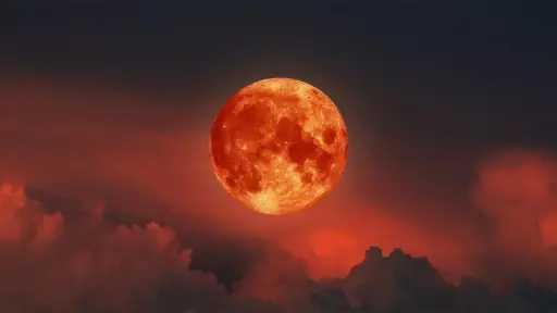 اخبار مصر