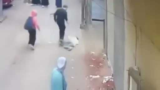 السوشيال