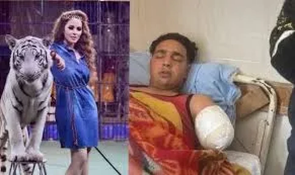 21 سبتمبر جلسة استئناف أنوسه كوته في حكم الحبس 3 اشهر بواقعة عامل السيرك بطنطا