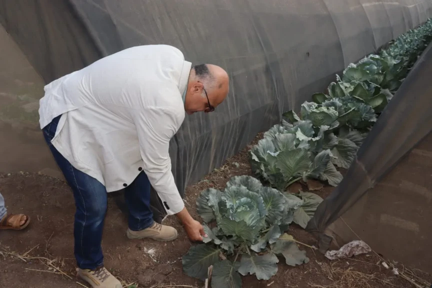 القليوبية تحتفل بعيد الفلاح الـ73.. المحافظ يتفقد منشآت زراعية ويطلق لقاءً أسبوعيًا مع المزارعين