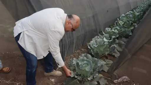 المحافظات