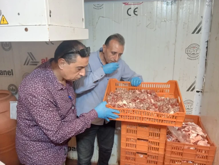 محافظ الدقهلية: ضبط 3645 كيلو لحوم ودواجن وأغذية متنوعة والتحفظ عليها بطلخا