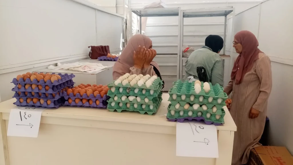 محافظ الدقهلية: إنطلاق أسواق المعرض الدائم للسلع الغذائية بشارع قناة السويس بالمنصورة