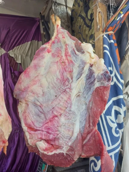 محافظ أسيوط: ضبط لحوم فاسدة وتحرير 219 محضرًا خلال حملات تموينية موسعة بالمراكز والأحياء
