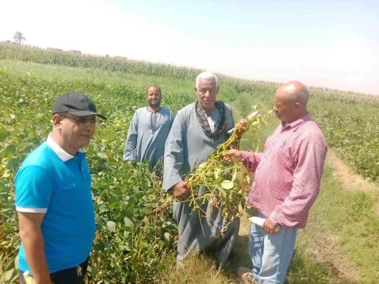 محافظ أسيوط: برامج توعية زراعية لتعظيم الاستفادة من المخلفات وتحقيق عائد اقتصادي مستدام