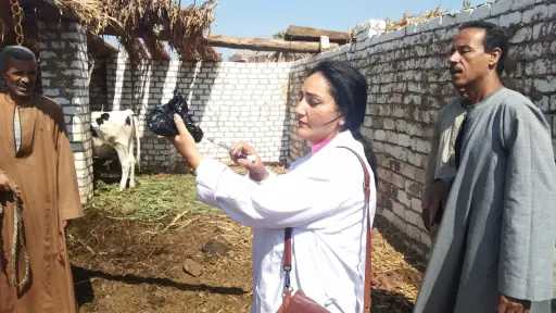 محافظ أسيوط: ختام الأسبوع الرابع...