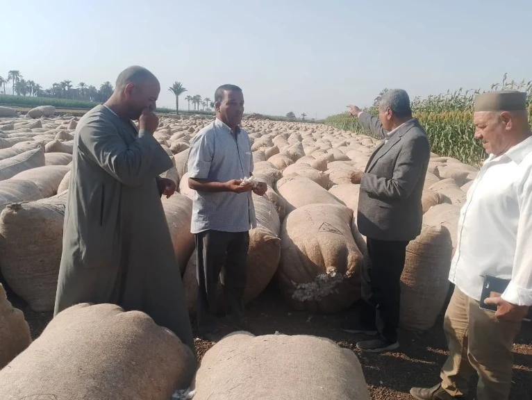 مع انطلاق موسم توريد الأقطان .. محافظ أسيوط: دعم الفلاح وتحسين جودة المحصول أولوية استراتيجية