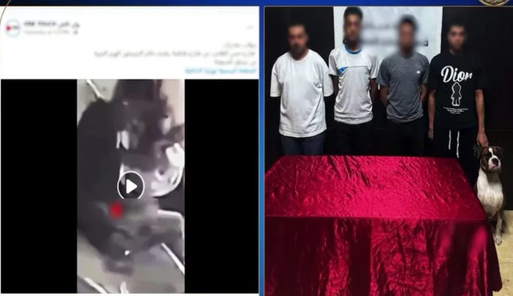 كشف ملابسات قيام بعض الأشخاص بتعاطي المواد المخدرة وبحوزتهم كلب بالجيزة