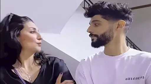 فن
