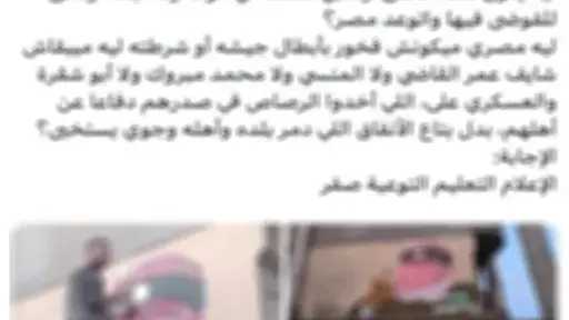 امن مصر