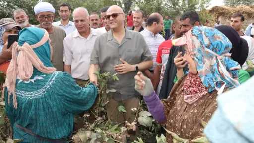 محافظ القليوبية يتفقد حصاد ”الذهب...