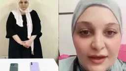 السوشيال