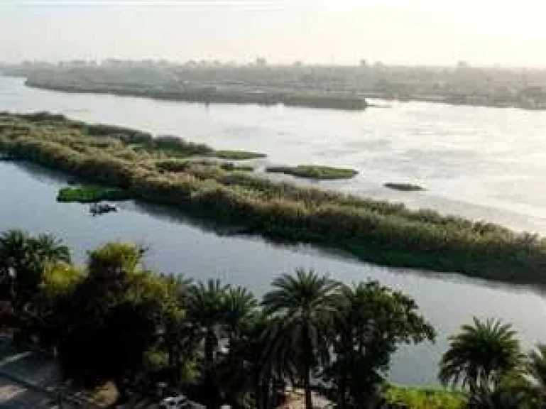 اخبار مصر