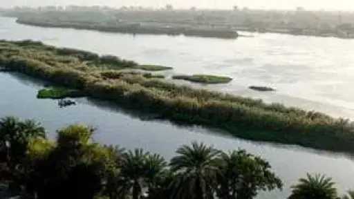 اخبار مصر