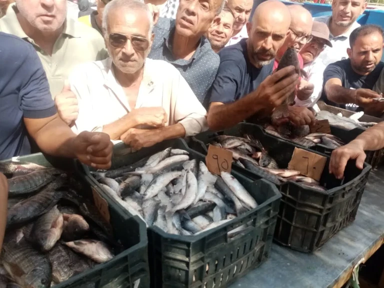 محافظ الدقهلية : أسواق المعرض الدائم للسلع الغذائية بشارع قناة السويس بالمنصورة تعمل يوميا