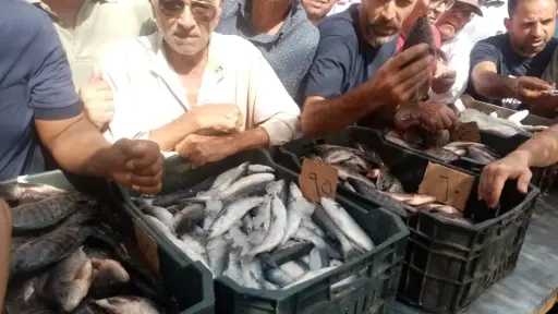 المحافظات