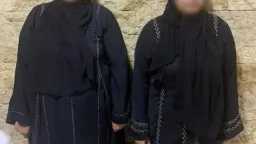 امن مصر