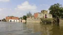 اخبار مصر