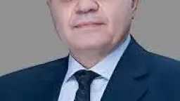امن مصر