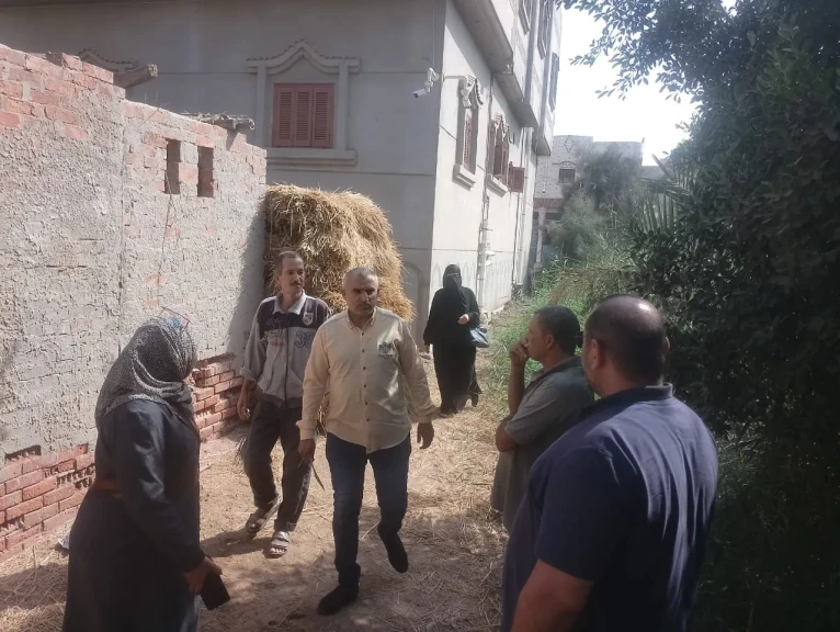 تنفيذا لتوجيهات اللواء طارق مرزوق محافظ الدقهلية قيام لجنة بإشراف نائب المحافظ ورئاسة السكرتير العام المساعد للمرور ومتابعة أعمال التصدي لشون تجميع قش الأرز العشوائية