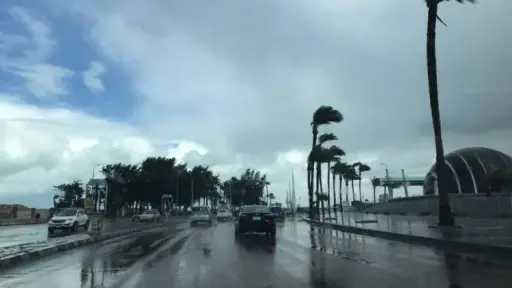 اخبار مصر
