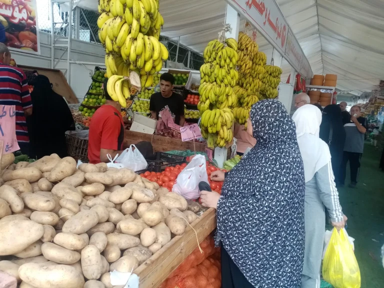 محافظ الدقهلية : المعرض الدائم للسلع الغذائية بشارع قناة السويس بالمنصورة تعمل يوميا