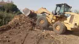 محافظ أسيوط: رفع 167 طن...