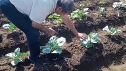 محافظ أسيوط : رفع وعي...