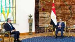 اخبار مصر