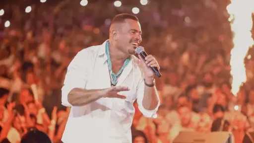 فن