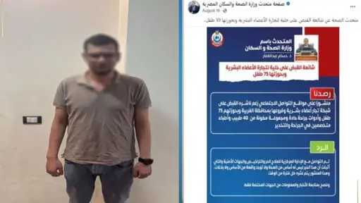 امن مصر