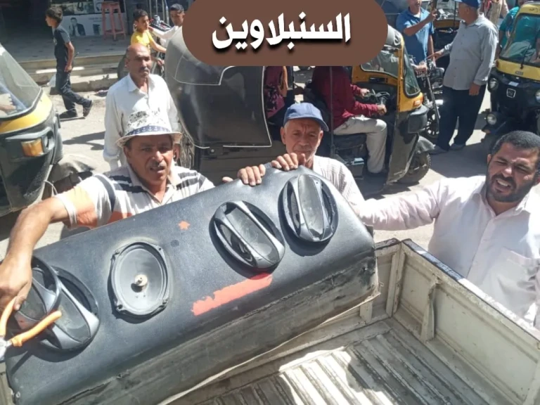 محافظ الدقهلية: ضبط ومصادرة 61 قطعة في حملة للتصدي لأجهزة الصوت والتلوث السمعي بالسنبلاوين والكردي