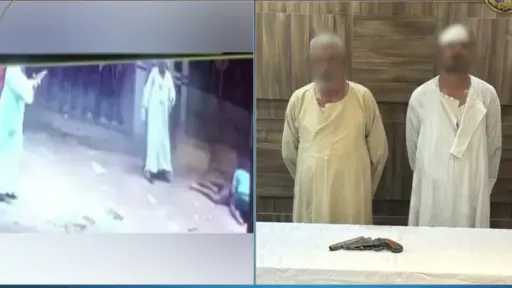 امن مصر