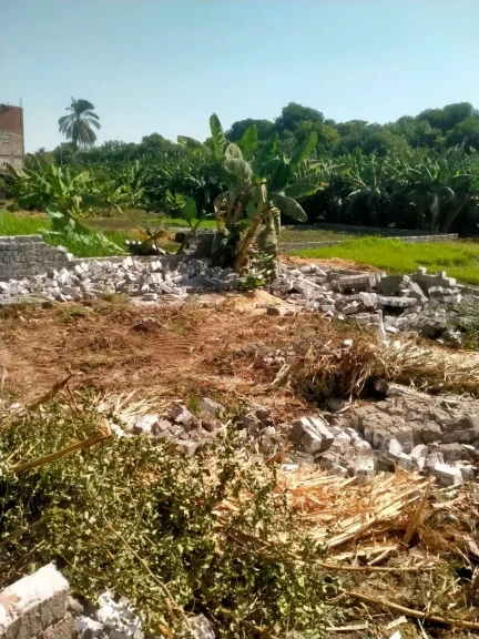 محافظ أسيوط: استرداد 278 فدانًا خلال حملات إزالة التعديات بـ 8 مراكز وحي في المرحلة الثالثة من الموجة الـ27