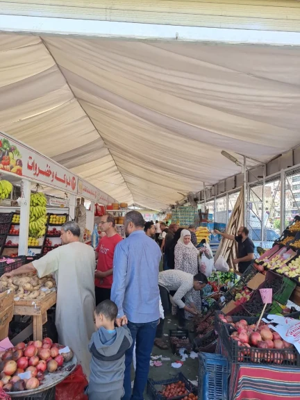 محافظ الدقهلية: المعرض الدائم للسلع الغذائية بشارع قناة السويس بالمنصورة يعمل يوميا