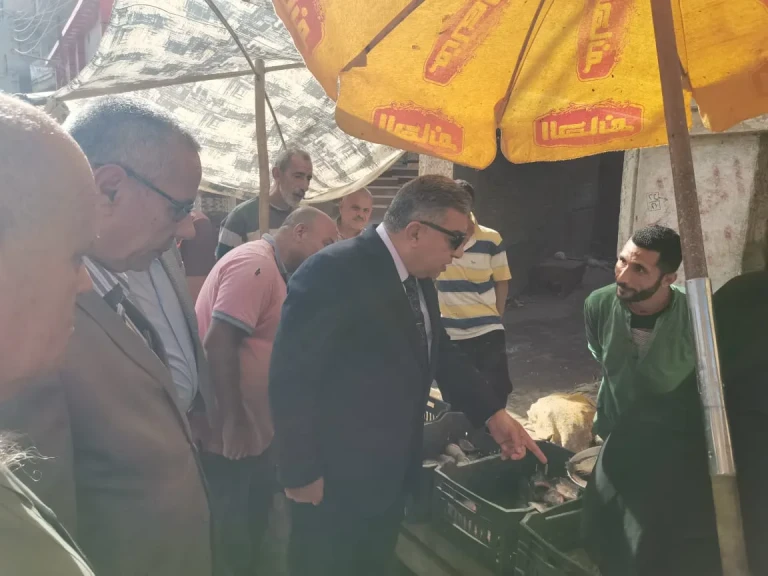 محافظ الدقهلية في زيارة مفاجئة للسنبلاوين