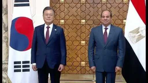 اخبار مصر
