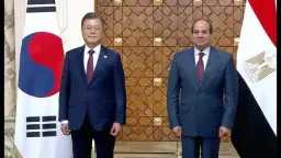 اخبار مصر