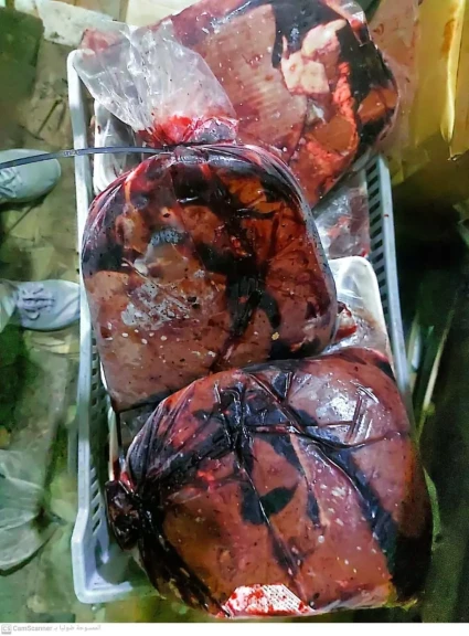 جانب من المضبوطات