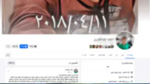 امن مصر