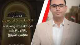 امن مصر