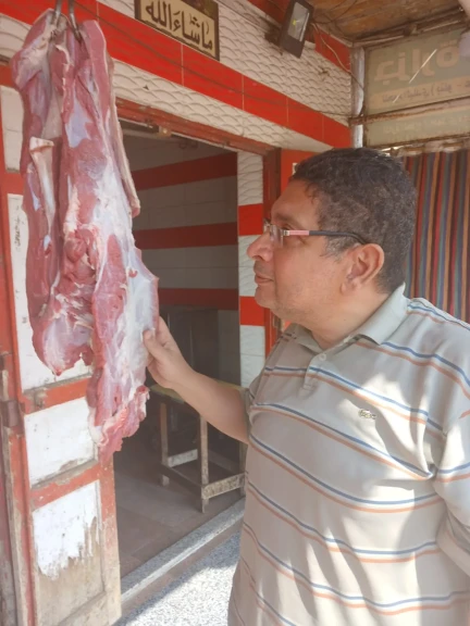 محافظ الدقهليه